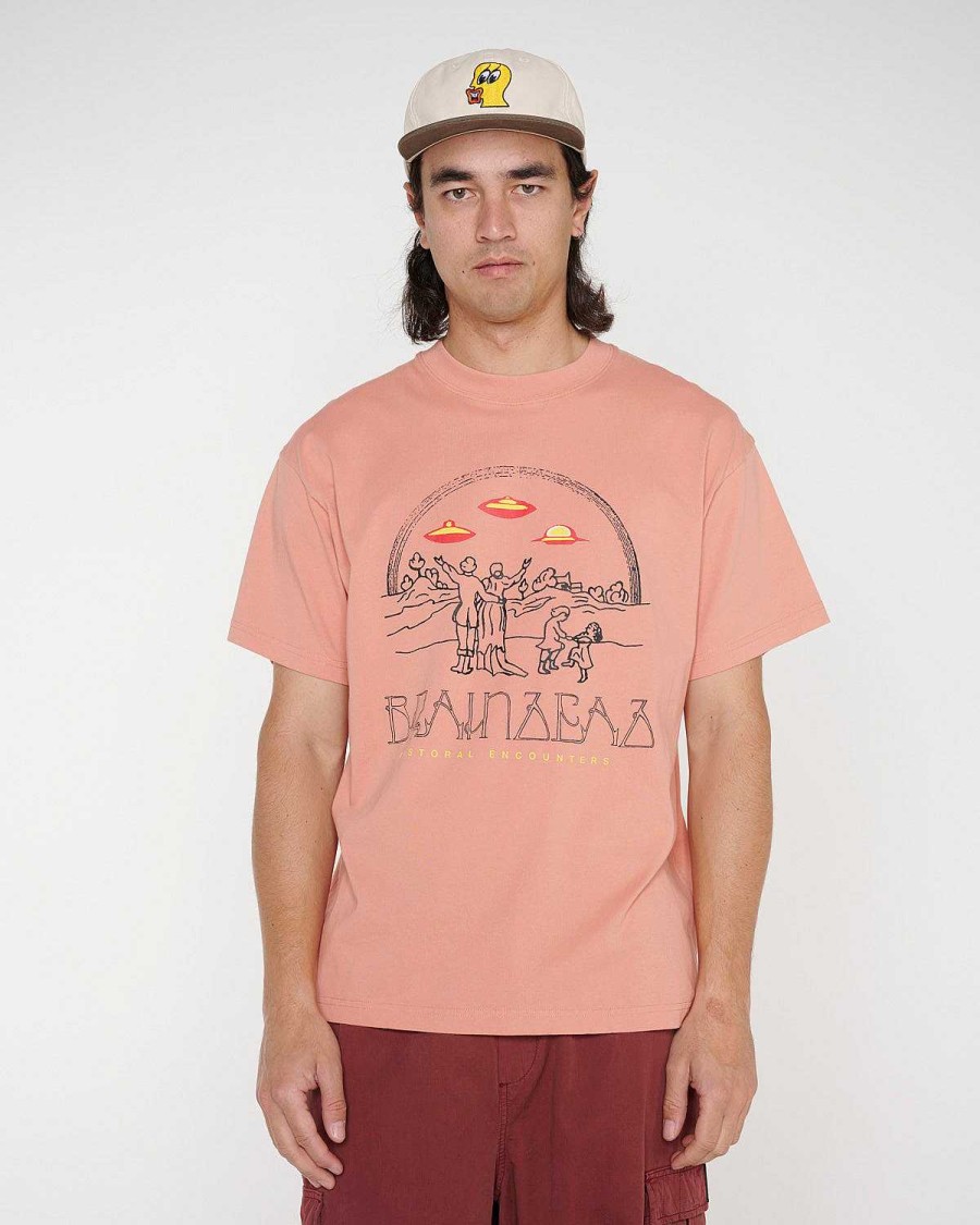 T-Shirt | Brain Dead Pastoral Encounters T-Shirt Dusty Rose